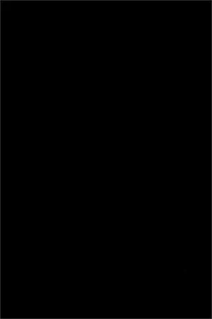 Smooth and Sleek Plain Black Spandex Fabric