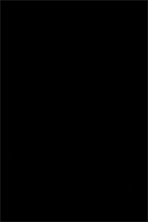 Smooth and Sleek Plain Black Spandex Fabric